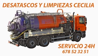 Limpiezas Y Desatascos Cecilia SL