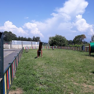 Parque canino