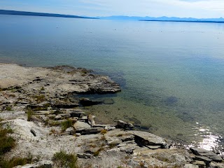 Lakeshore Geyser