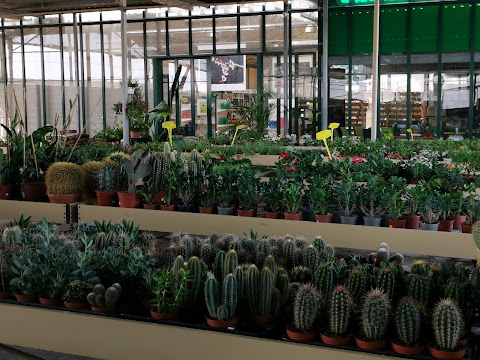 Extra Garden Center