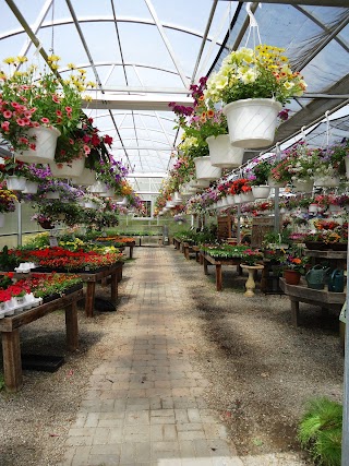 Town & Country Nurseries and Florist