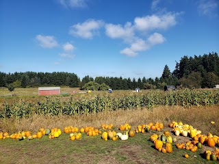 Flower Farmer