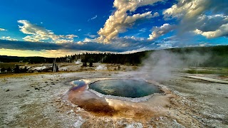 Crested Pool