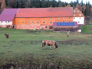 Ferienhof Neue Mühle