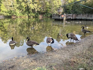 Squirrel Lake Park