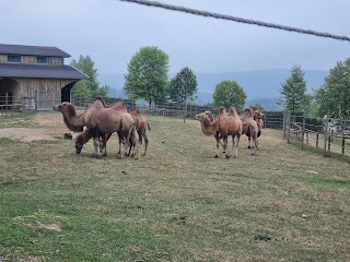 Freizeitpark Rotfelden oHG Sa-So geöffnet - Fußballgolf- Rotfelden Fr-So geöffnet