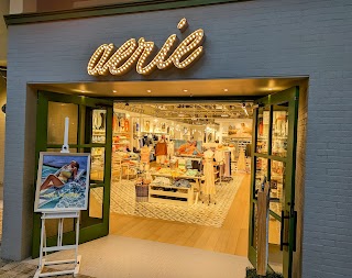 Aerie & OFFLINE Store