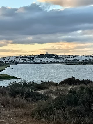 Parque Natural Bahía Cádiz