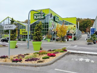 Pflanzen-Kölle Gartencenter GmbH & Co. KG Stuttgart