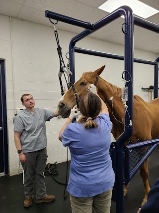 Georgia Equine Veterinary Services and Hospital