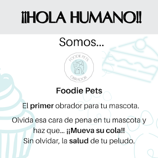 Foodie Pets | Obrador para mascotas.