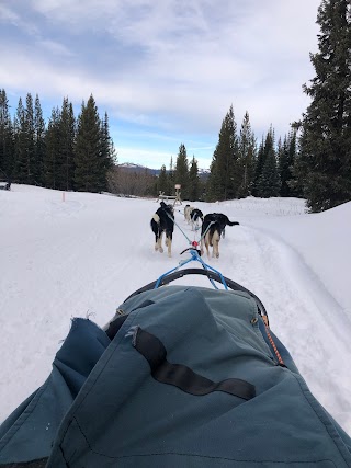Jackson Hole’s Continental Divide Dogsled Adventures