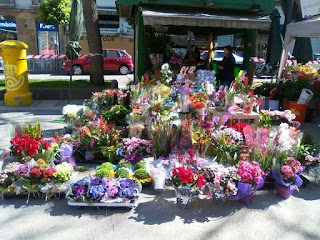 Floristería Romeu