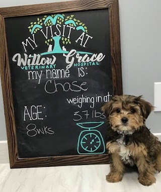 Willow Grace Veterinary Hospital