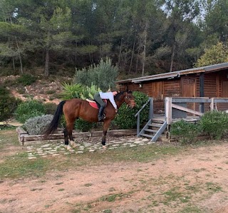 Excursiones y rutas a caballo Comarquinal