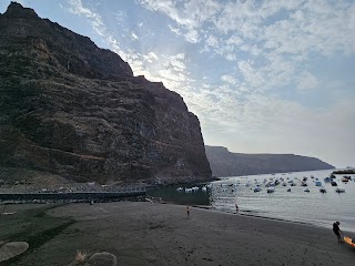 Observación de Aves en la Playa de Vueltas