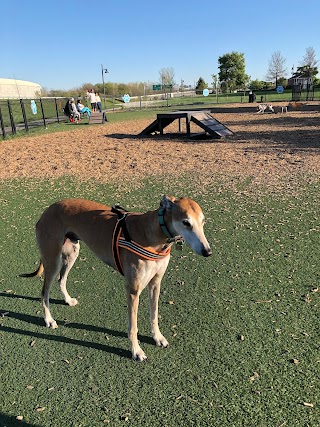 Dog Park at Clay Terrace