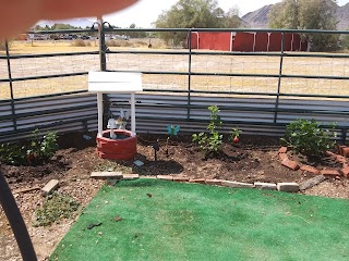 Garden Center at The Home Depot