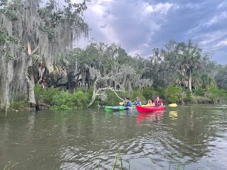 Savannah Coastal Ecotours