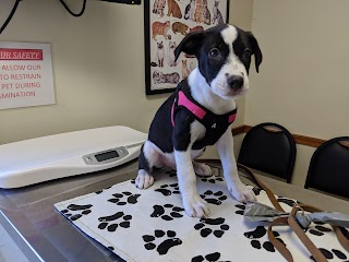 Ajo Veterinary Clinic