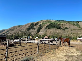 North Fork Trail Rides