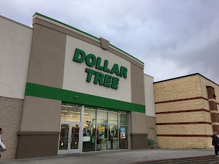 Dollar Tree