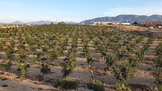 Hotel El Zorro