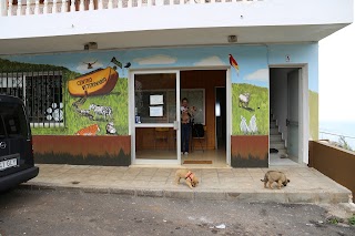 Centro Veterinario Tijarafe