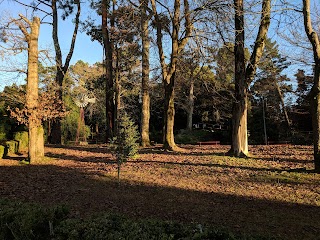 Parque Botánico Enrique Valdés