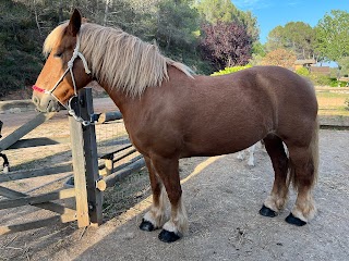 Excursiones y rutas a caballo Comarquinal