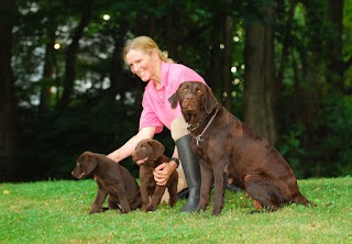 Dr. McKinstry's Holistic Veterinary Clinic