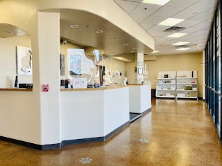 Chandler Gilbert Animal Hospital