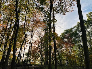 Cool Creek Park Playground