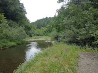 Dimmick Memorial Grove State Park