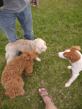 Quartzsite Dog Park