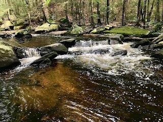 Grange Pool