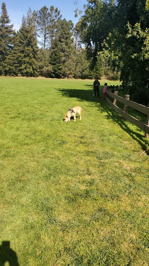 Photo of Roberts Pool - 10570 Skyline Boulevard, Oakland, CA 94619, USA