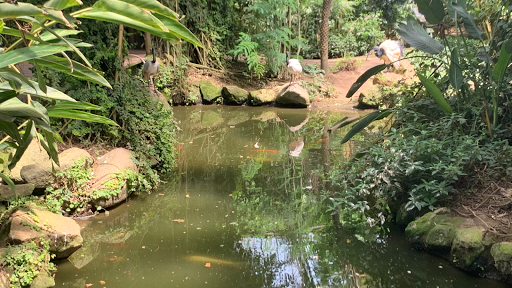 Butterfly Park Empuriabrava