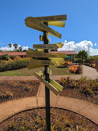 Dole Plantation