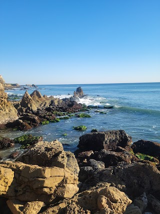 Tide Pools