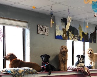 Lather & Laughs Dog Groomer and Daycare