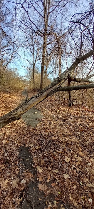 Joyce Park and Wildlife Sanctuary