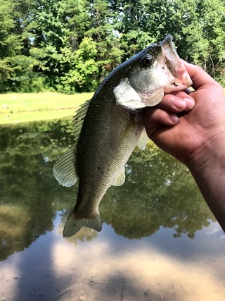 Winston Lake Park