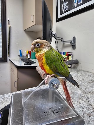 Avian & Exotic Animal Clinic