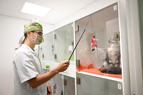 Clinique Vétérinaire Saint-Exupéry (Label CAT FRIENDLY CLINIC)