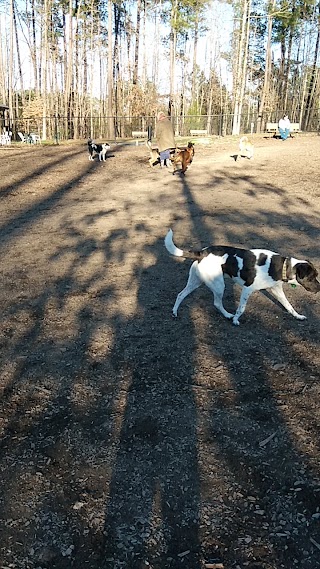 Southern Community Dog Park