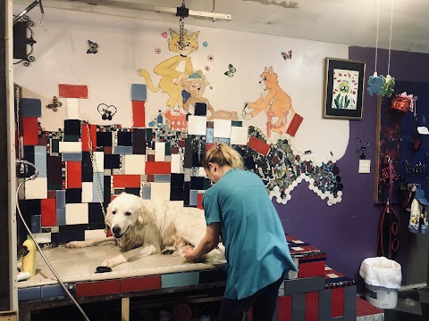 Photo of Pet shack grooming llc - 204 4th Street, Cement, OK 73017, USA