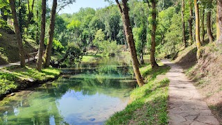 Nacimiento del Río Ebro