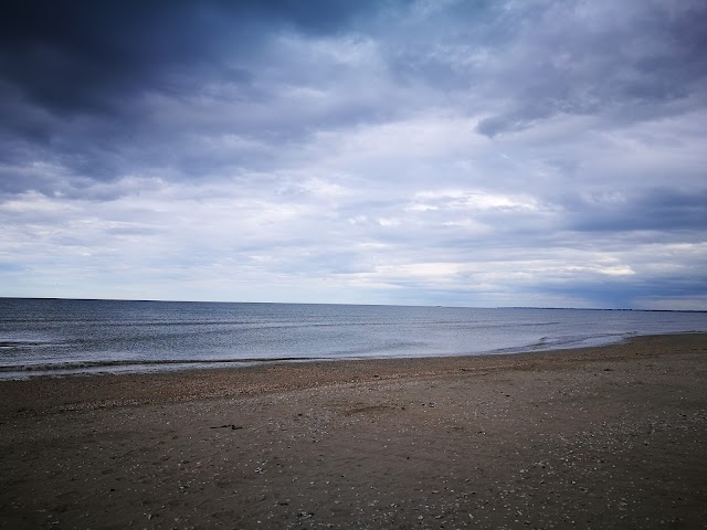 Utah Beach