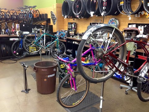 Medford Cycle Sport